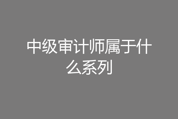 中级审计师属于什么系列