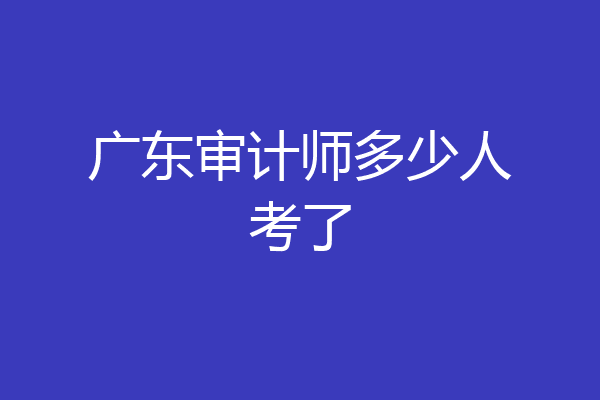 广东审计师多少人考了