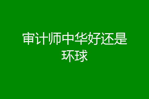 审计师中华好还是环球