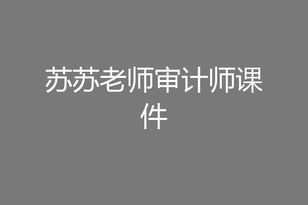苏苏老师审计师课件