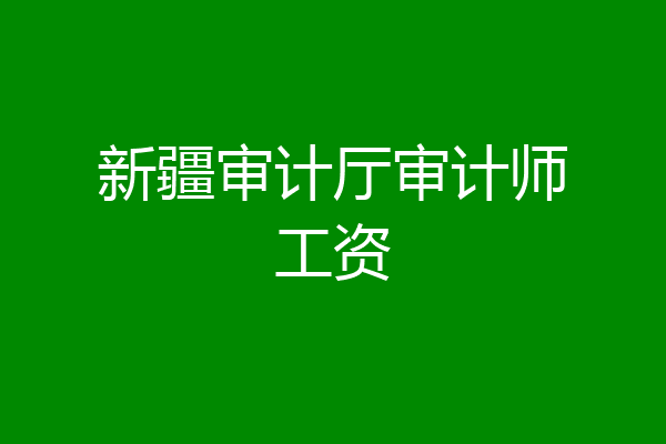 新疆审计厅审计师工资