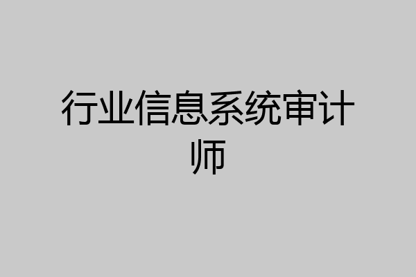 行业信息系统审计师