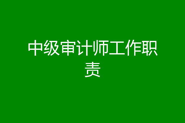 中级审计师工作职责