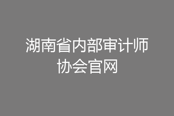 湖南省内部审计师协会官网