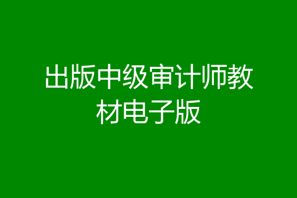 出版中级审计师教材电子版