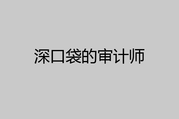 深口袋的审计师