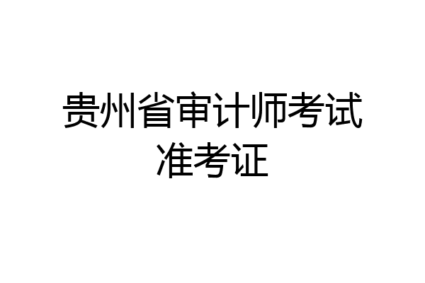 贵州省审计师考试准考证
