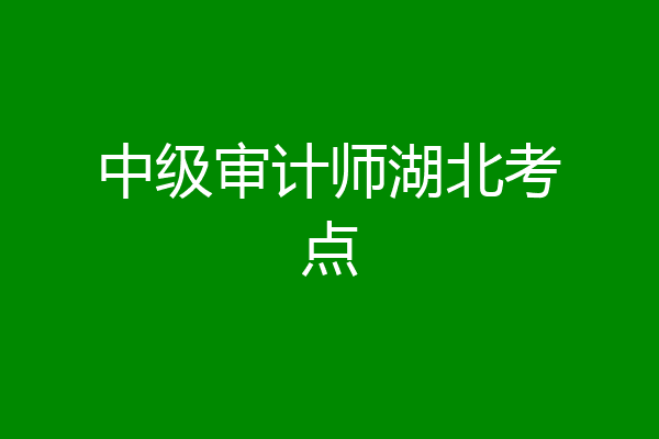 中级审计师湖北考点