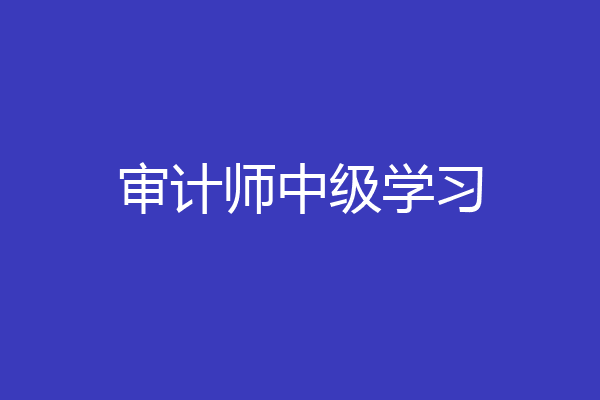审计师中级学习