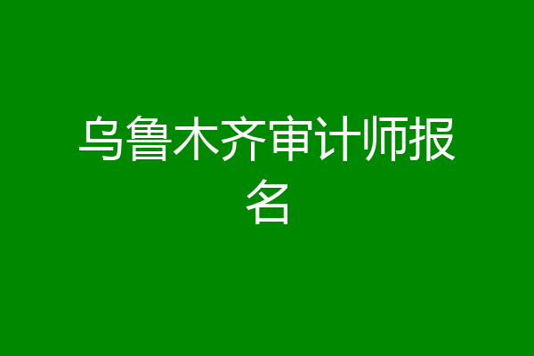 乌鲁木齐审计师报名