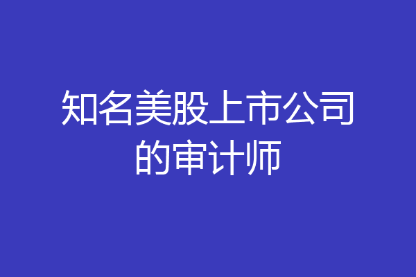 知名美股上市公司的审计师