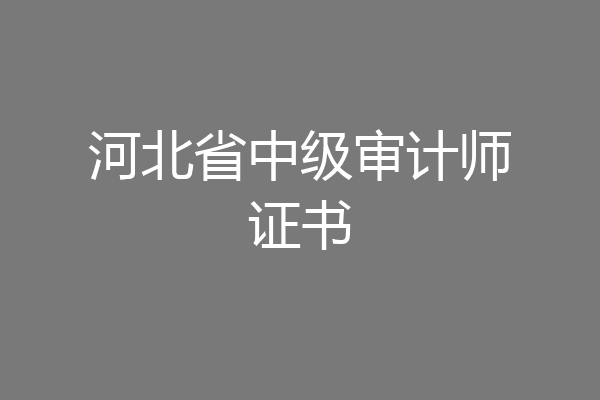 河北省中级审计师证书