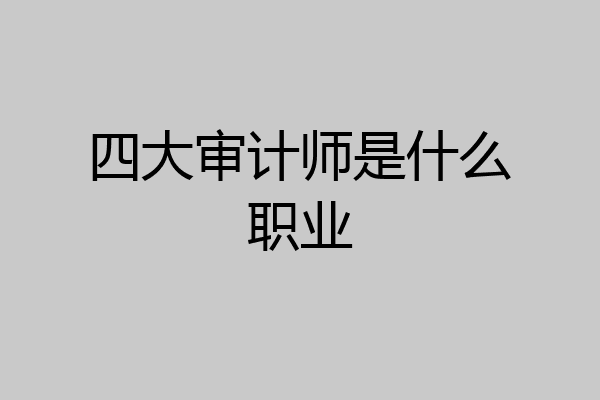 四大审计师是什么职业
