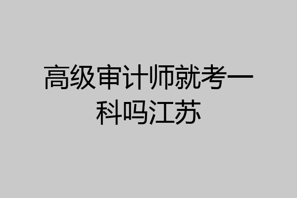 高级审计师就考一科吗江苏