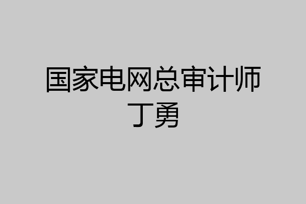 国家电网总审计师丁勇