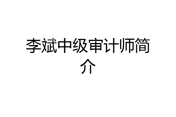李斌中级审计师简介