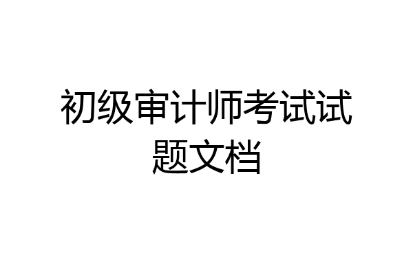 初级审计师考试试题文档