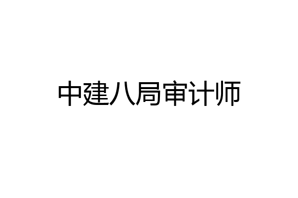 中建八局审计师