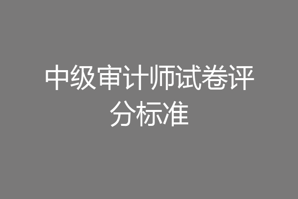 中级审计师试卷评分标准
