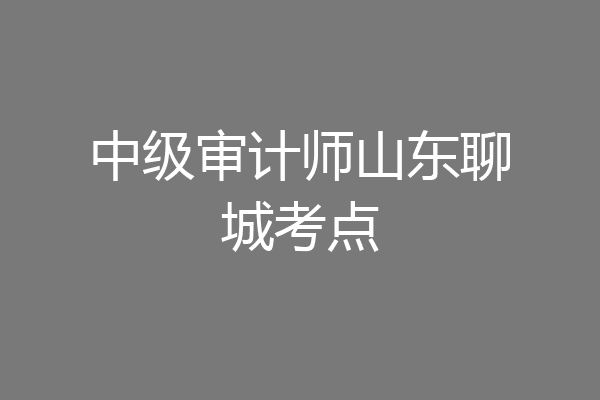 中级审计师山东聊城考点