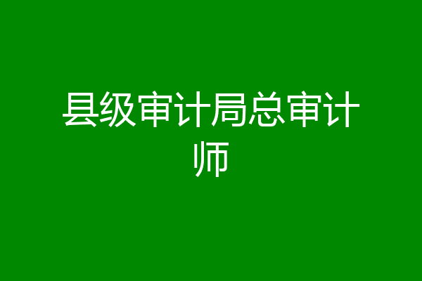 县级审计局总审计师