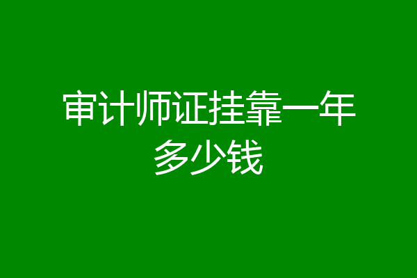 审计师证挂靠一年多少钱