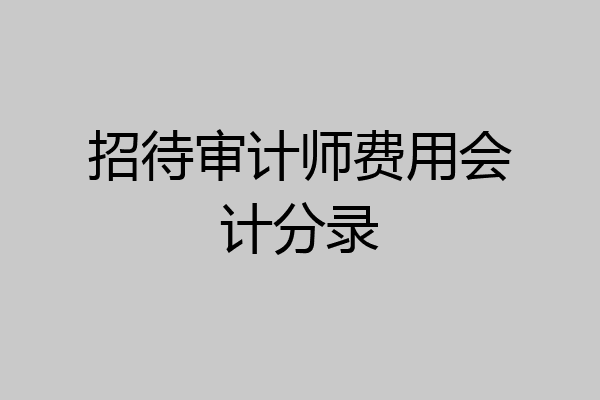 招待审计师费用会计分录