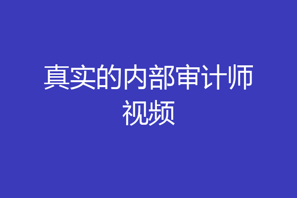 真实的内部审计师视频