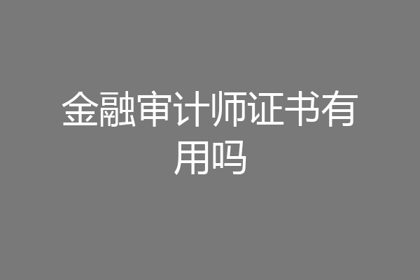 金融审计师证书有用吗