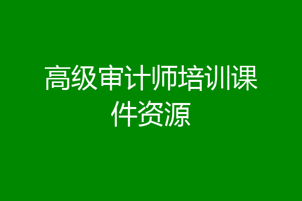 高级审计师培训课件资源