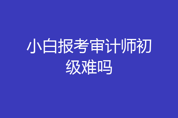 小白报考审计师初级难吗