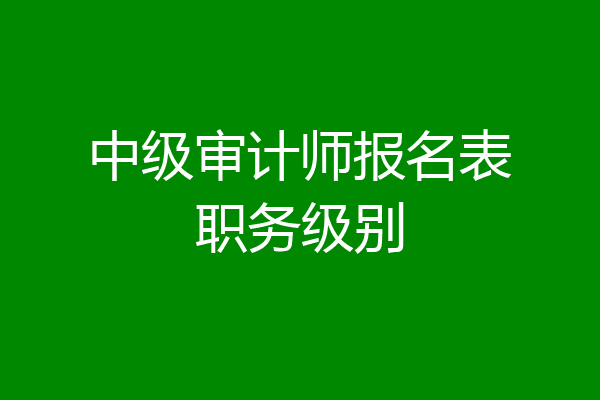 中级审计师报名表职务级别