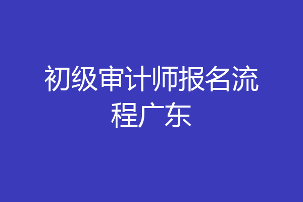 初级审计师报名流程广东