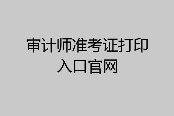 审计师准考证打印入口官网