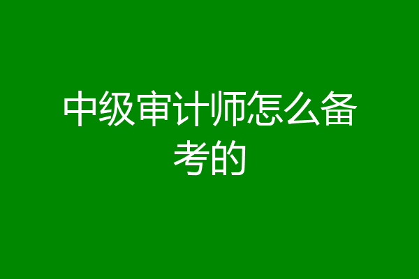 中级审计师怎么备考的