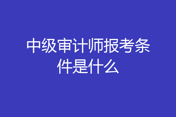 中级审计师报考条件是什么