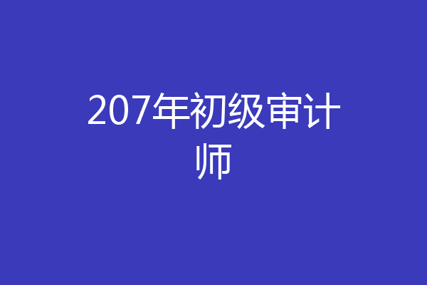 207年初级审计师