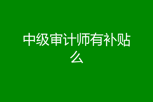 中级审计师有补贴么