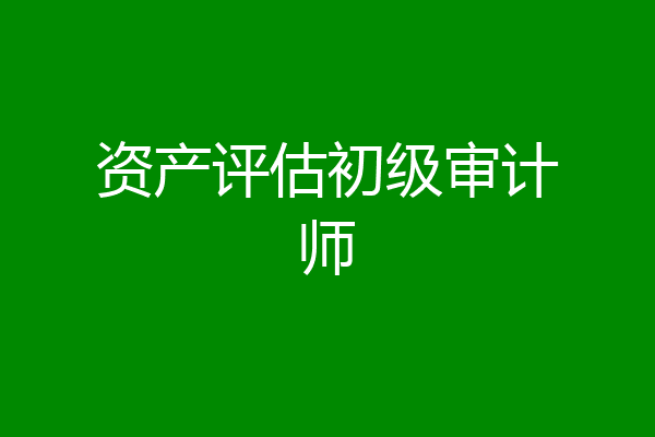 资产评估初级审计师
