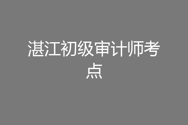 湛江初级审计师考点