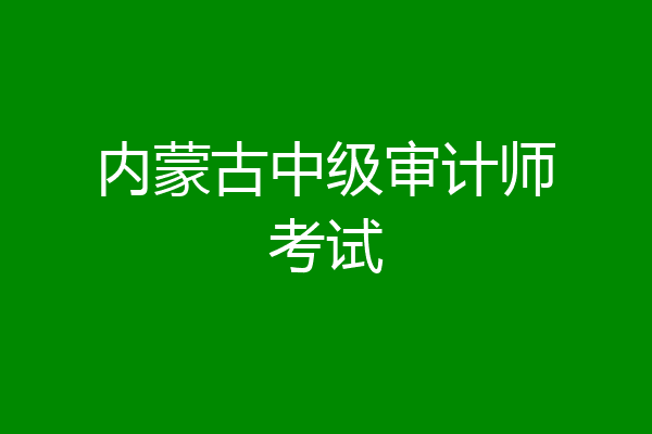 内蒙古中级审计师考试