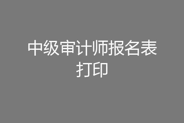 中级审计师报名表打印