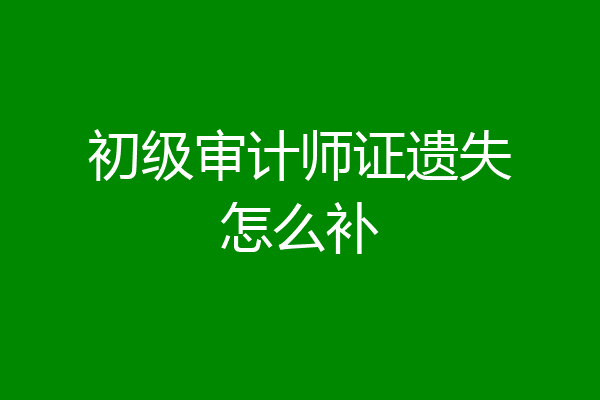 初级审计师证遗失怎么补