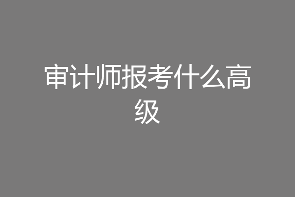 审计师报考什么高级