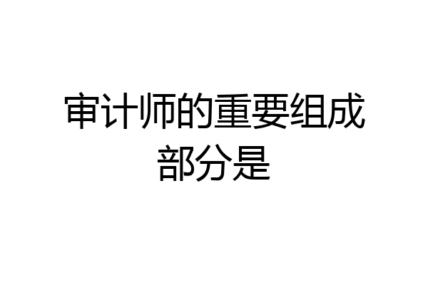 审计师的重要组成部分是