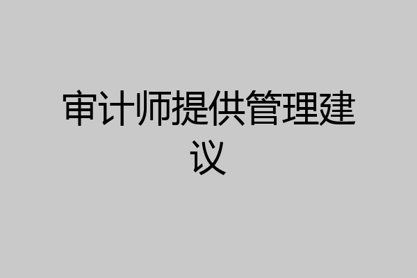 审计师提供管理建议