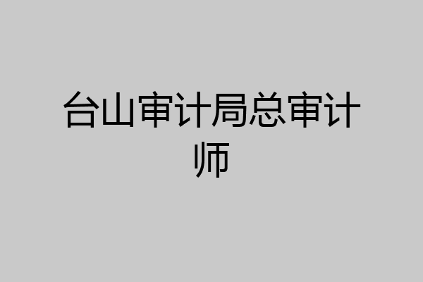 台山审计局总审计师