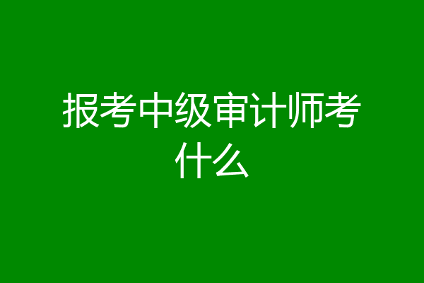 报考中级审计师考什么