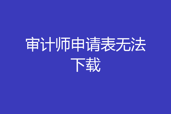 审计师申请表无法下载
