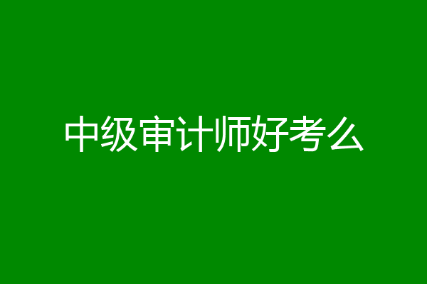 中级审计师好考么